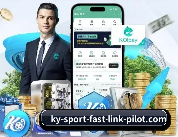 开云下载 APP 深度功能