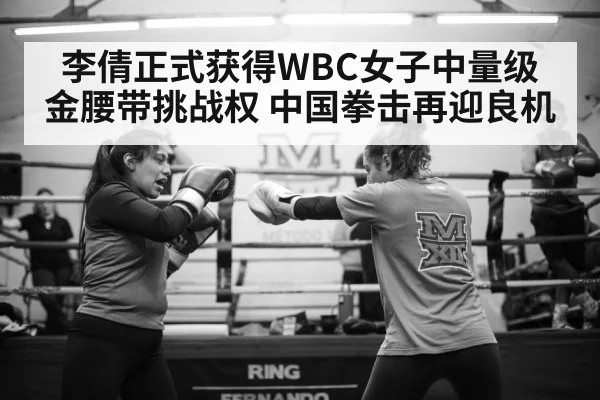 female boxer training