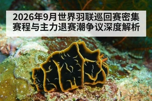 2026年9月世界羽联巡回赛密集赛程与主力退赛潮争议深度解析